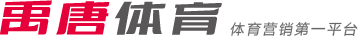 进入世界杯