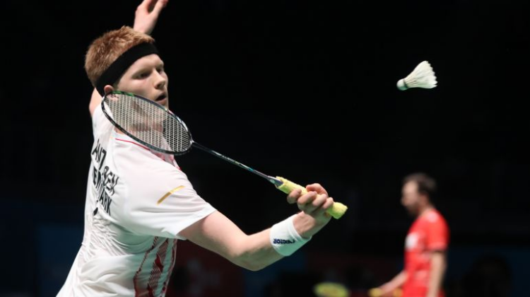 霍芬海姆虽 霍芬海姆虽