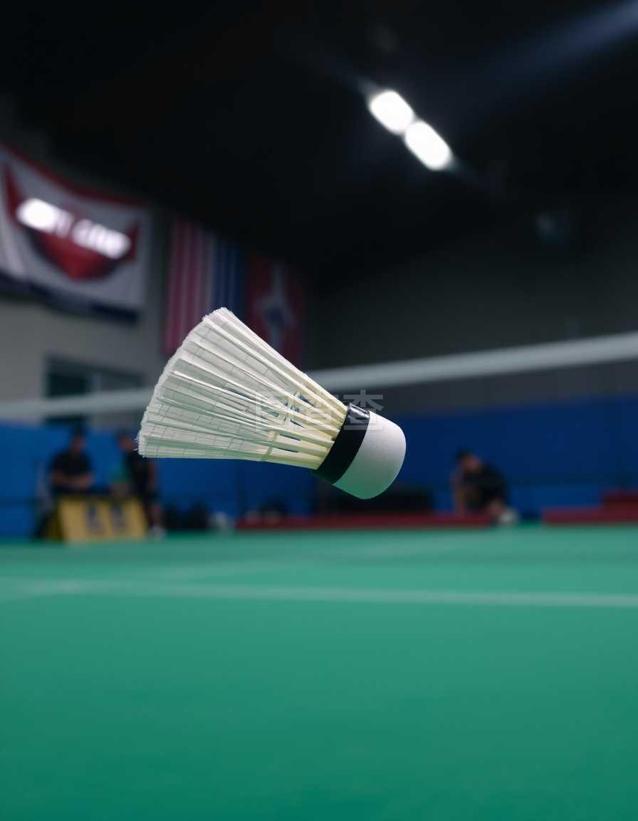 的天梯数据 的天梯数据